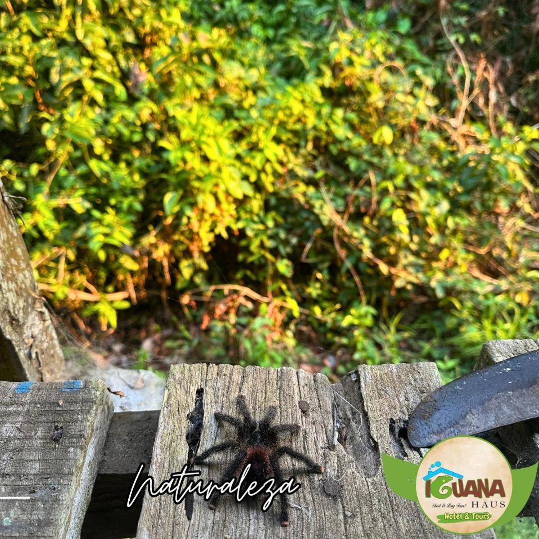 Iguana Haus Iquitos Apartment Exterior foto